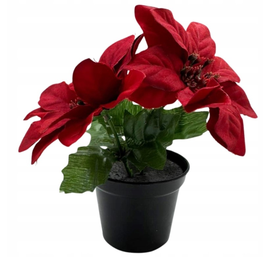 ЧЕРВЕНА ЗВЕЗДА НА ВИТЛЕЕМ В САКСИЯ ИЗКУСТВЕНО ЦВЕТЕ 15 СМ ДЕКОРАТИВНО