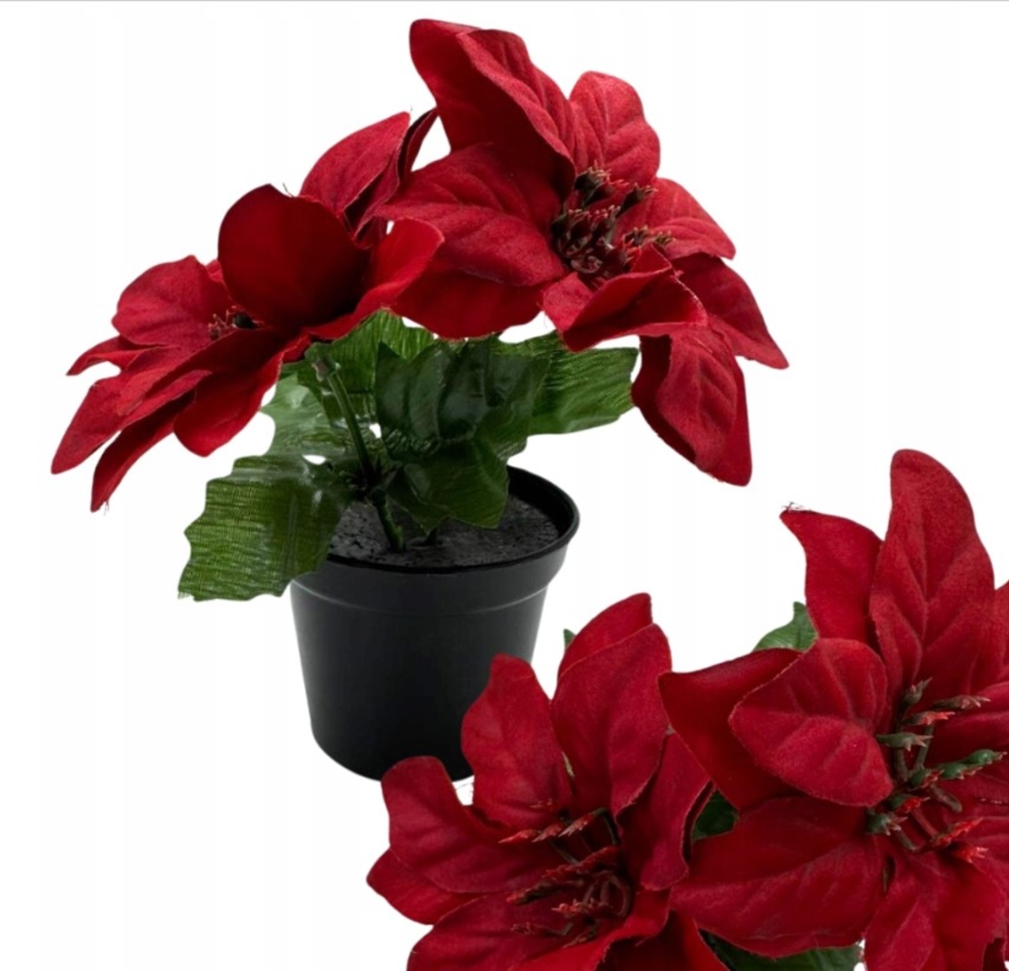 ЧЕРВЕНА ЗВЕЗДА НА ВИТЛЕЕМ В САКСИЯ ИЗКУСТВЕНО ЦВЕТЕ 15 СМ ДЕКОРАТИВНО