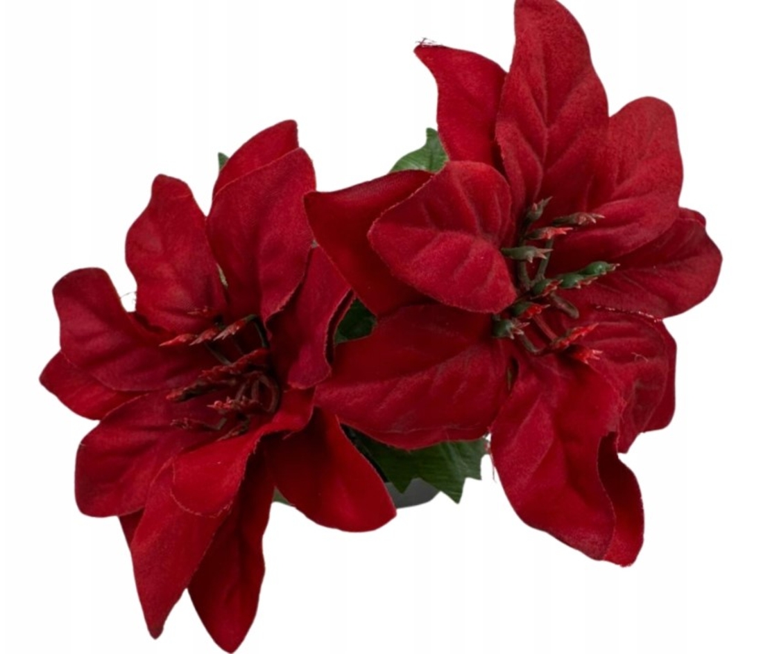 ЧЕРВЕНА ЗВЕЗДА НА ВИТЛЕЕМ В САКСИЯ ИЗКУСТВЕНО ЦВЕТЕ 15 СМ ДЕКОРАТИВНО