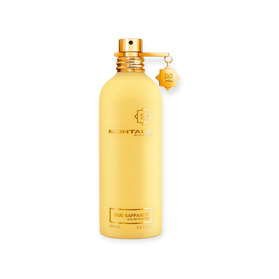 MONTALE Oud Saparot EDP TR 100 Uni