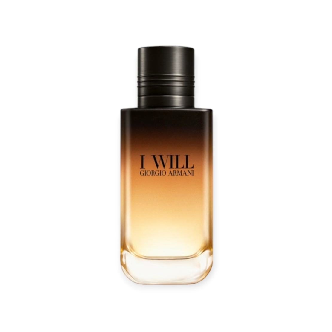 Armani I Will EDP 100 M