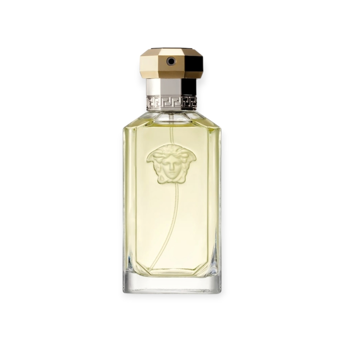 Versace Dreamer EDT TR 100 M