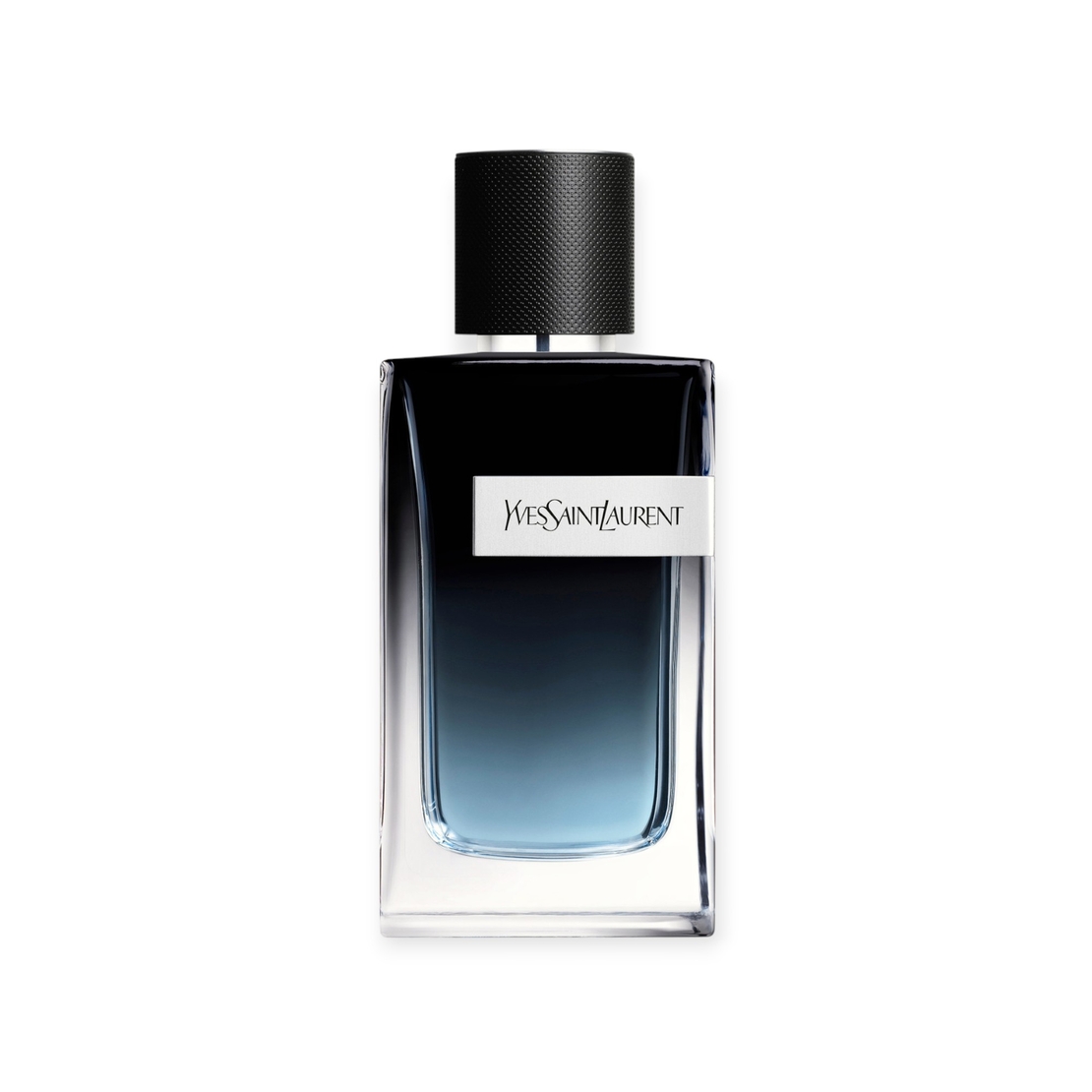 Y.S.L Y EDP TR 100 M