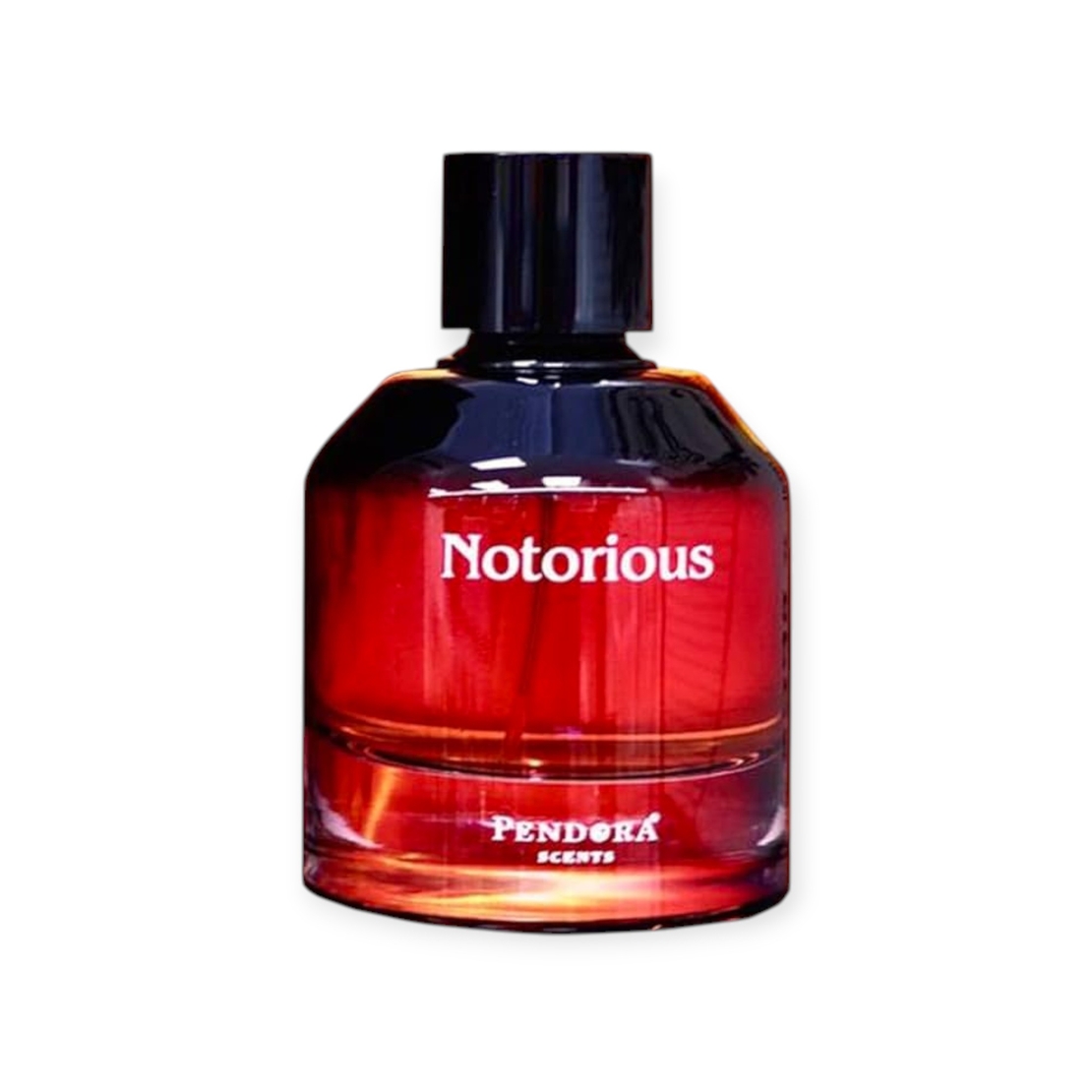 Pendora Scents Notorious EDP 100 M