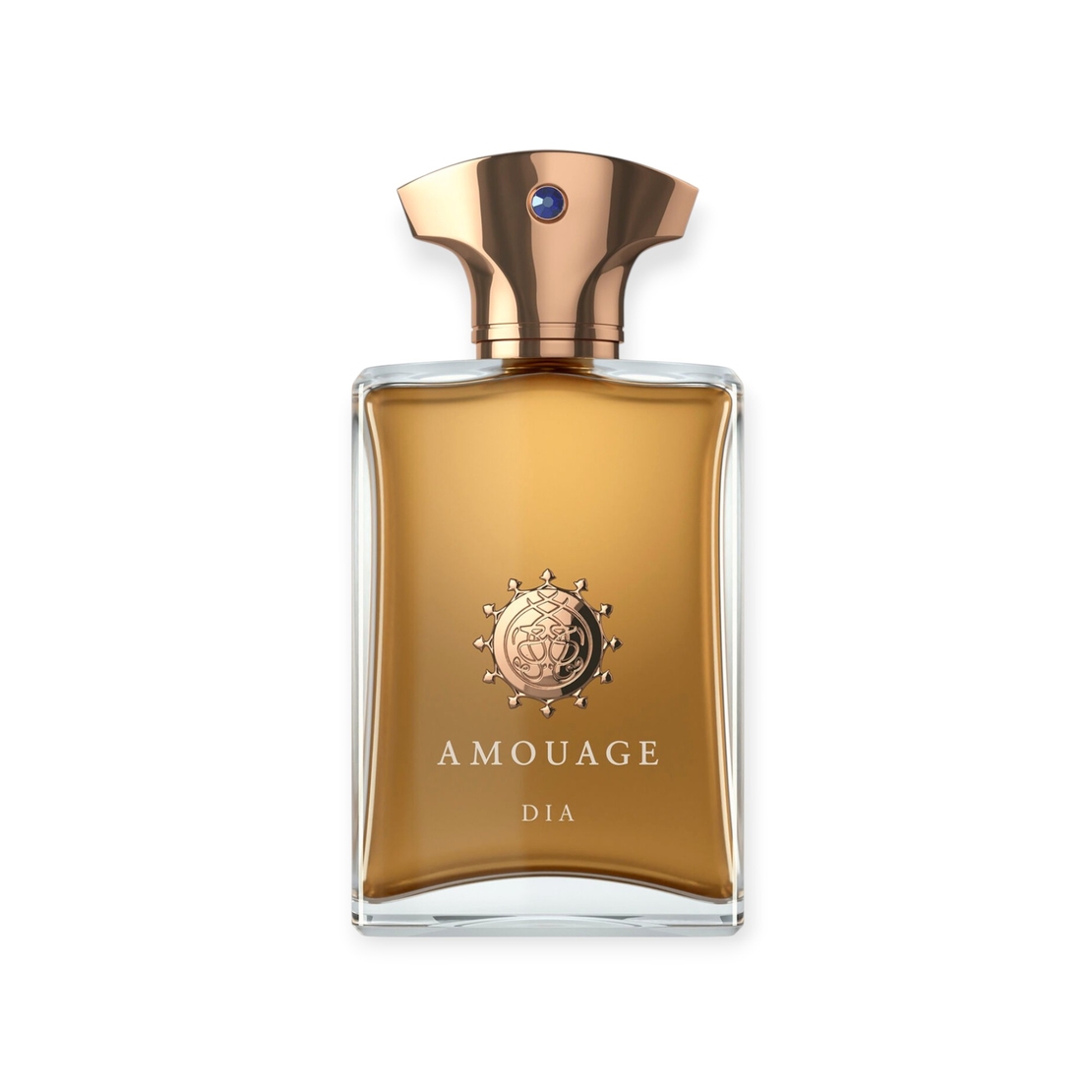 Amouage Dia pour Homme EDP TR 100 M