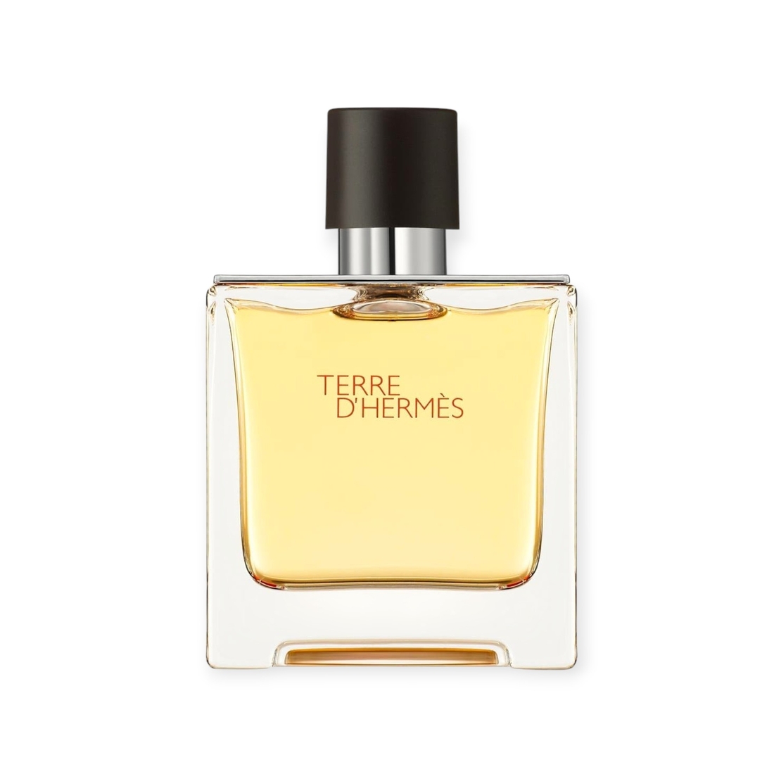Hermes Terre D Hermes Parfum TR 75 M