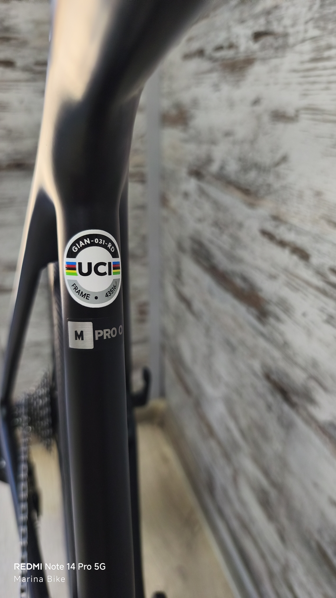 Giant TCR Pro 0 SRAM Force AXS D1 Powermeter DT Swiss Performance | M
