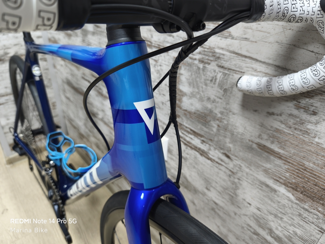 Giant TCR Advanced Pro Disc 105 Fulcrum | L