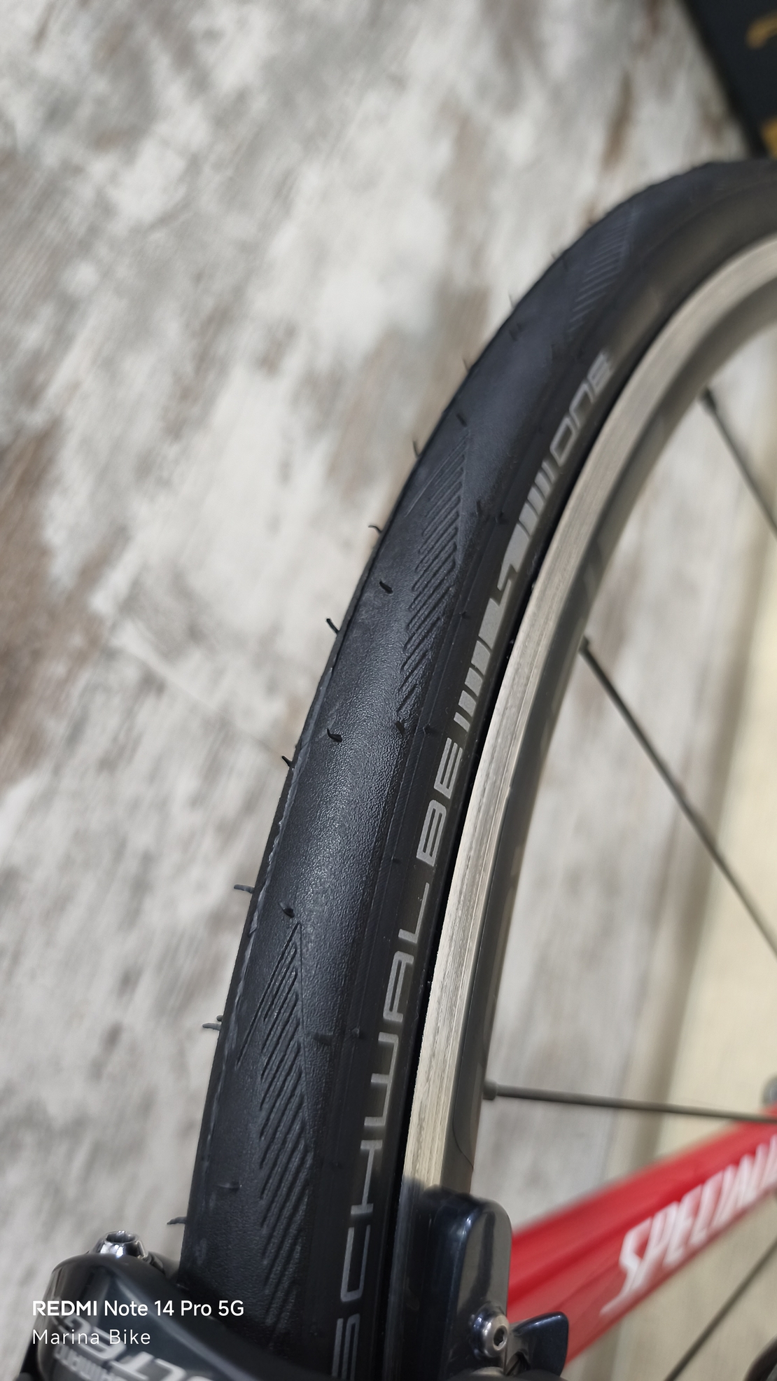 Specialized Tarmac SL6 Expert Ultegra Roval | 54