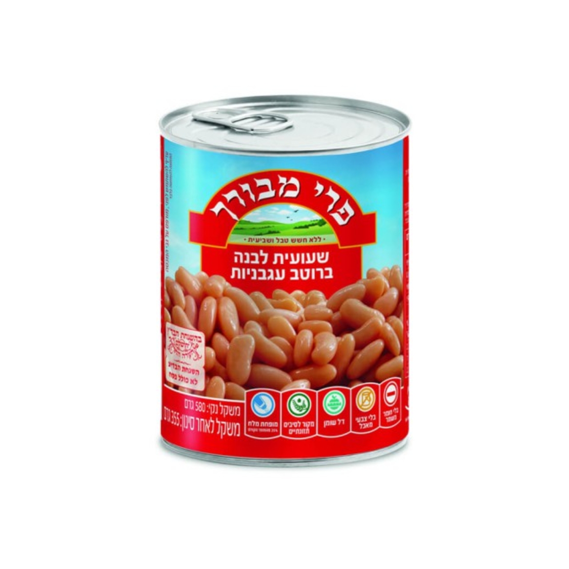 baked bean in tomato sauce
