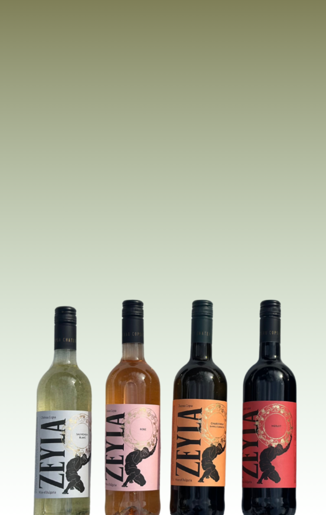 Wine  and Tapas: Изкуството на дегустацията