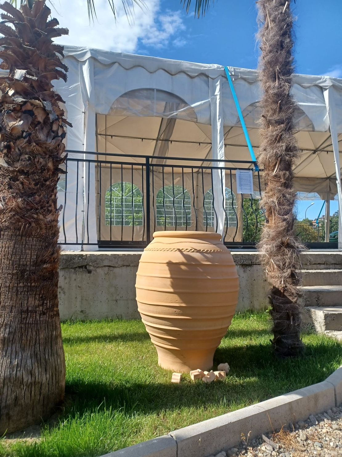 CORINOS 45/50