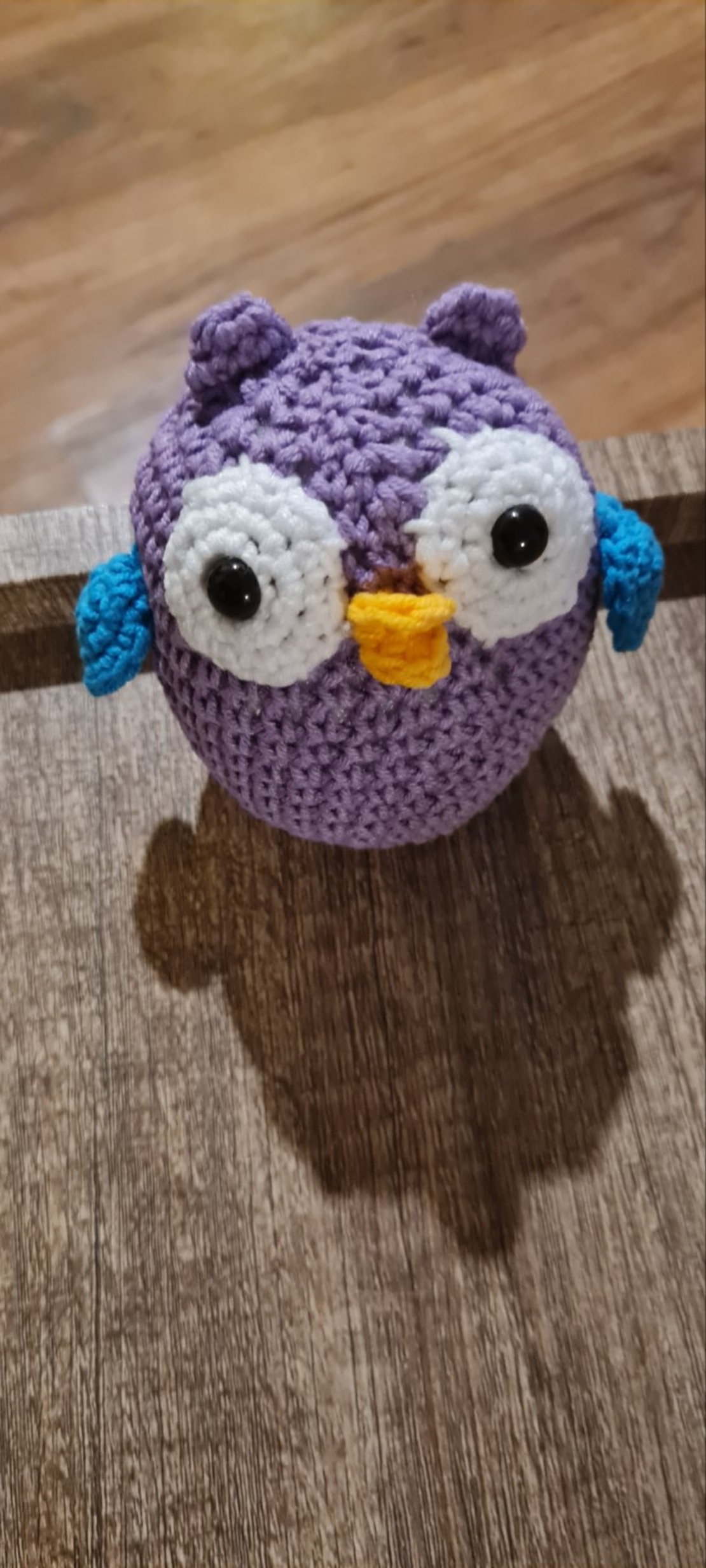 owl