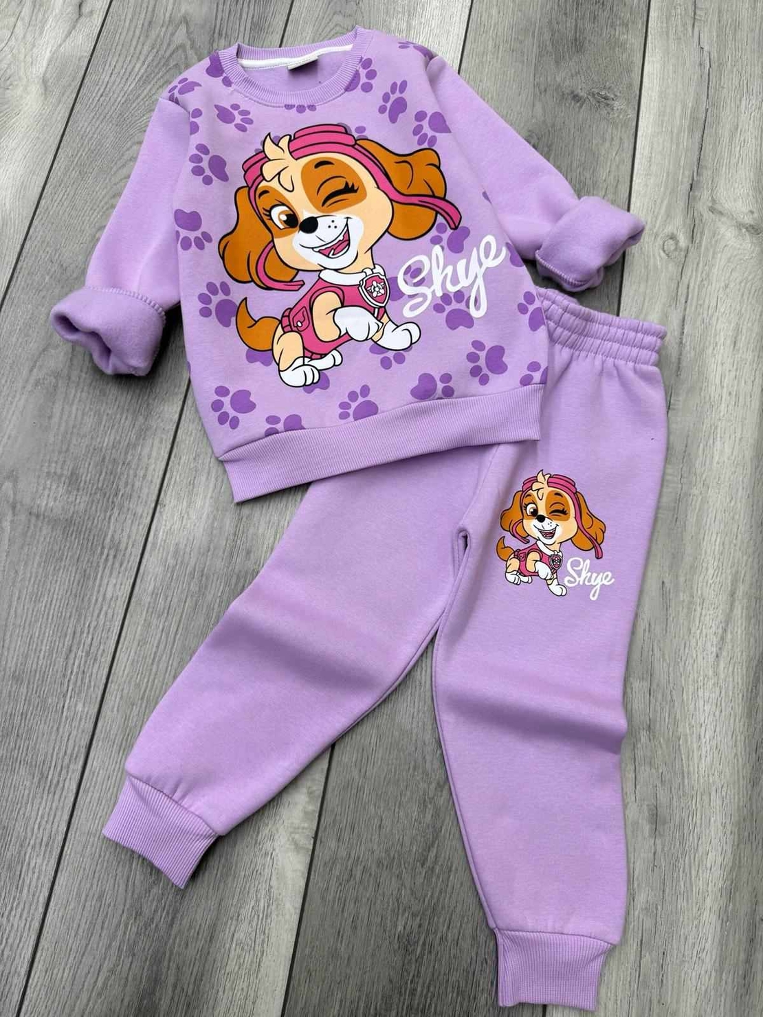 Ватиран комплект Скай от Пес Патрул