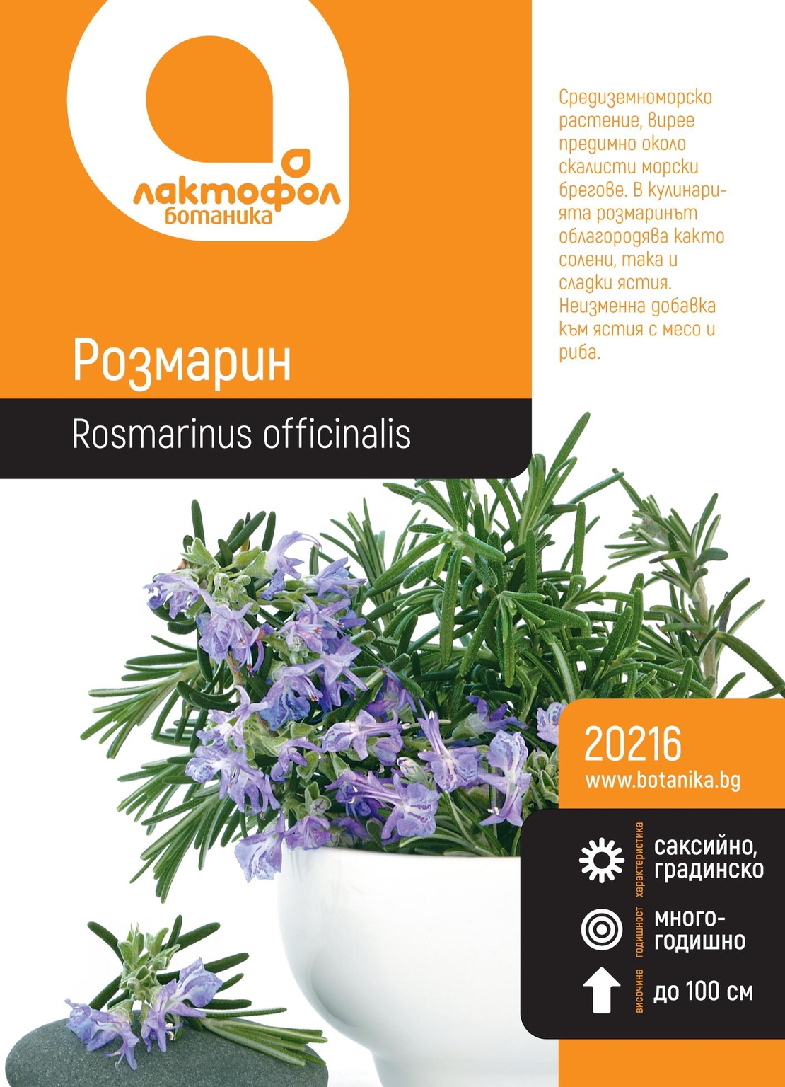 Семана розмарин