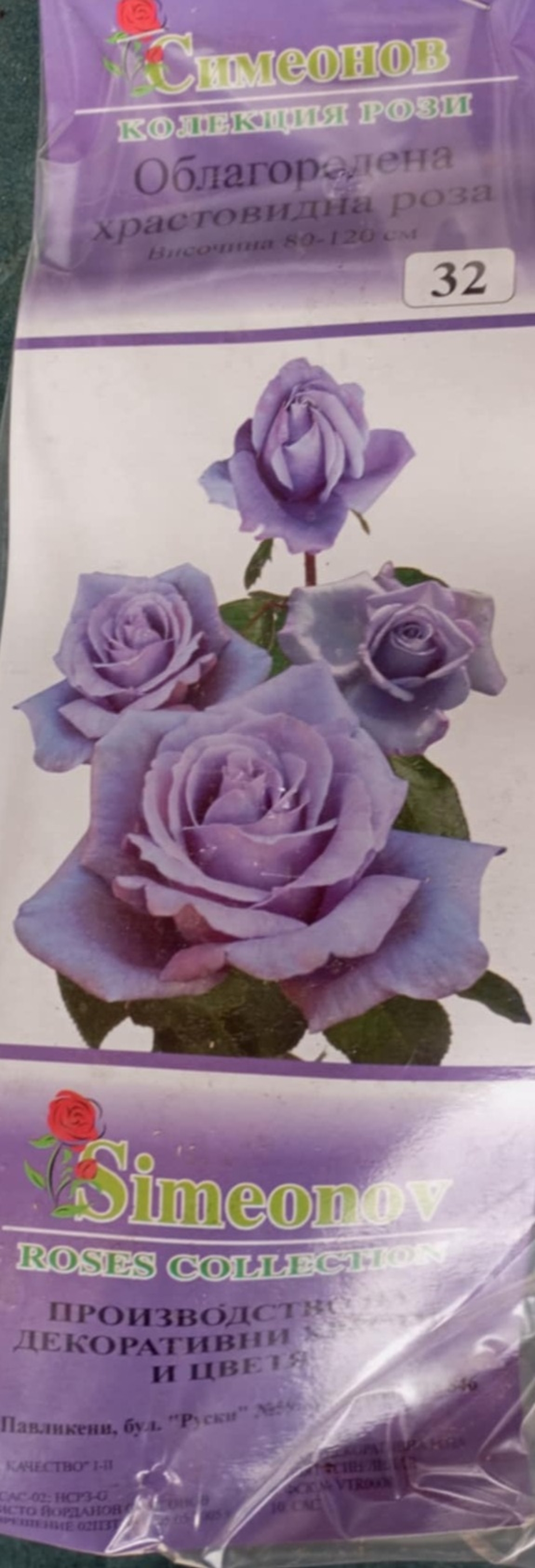 Храстовидна роза на гол корен