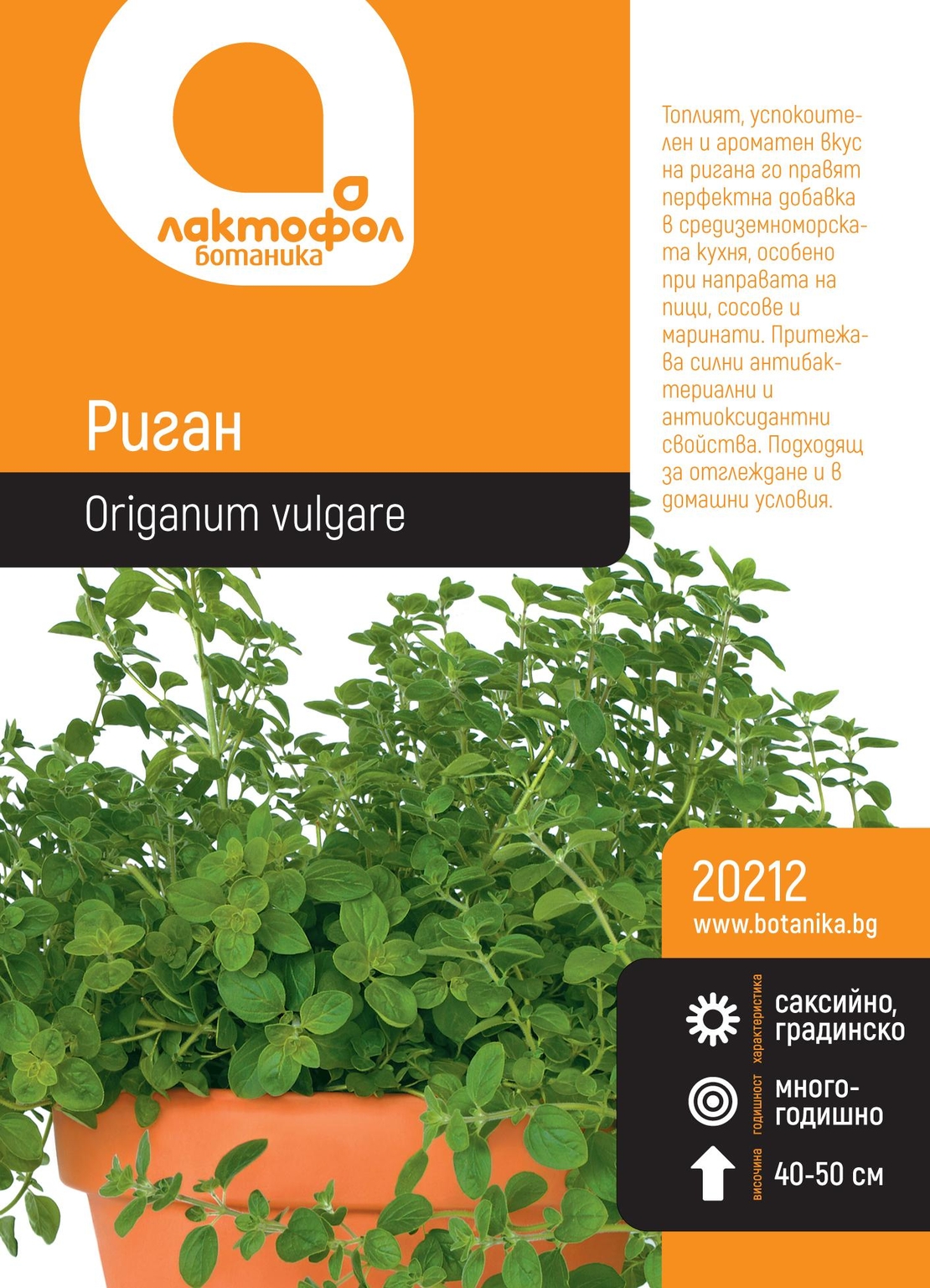 Семена Риган