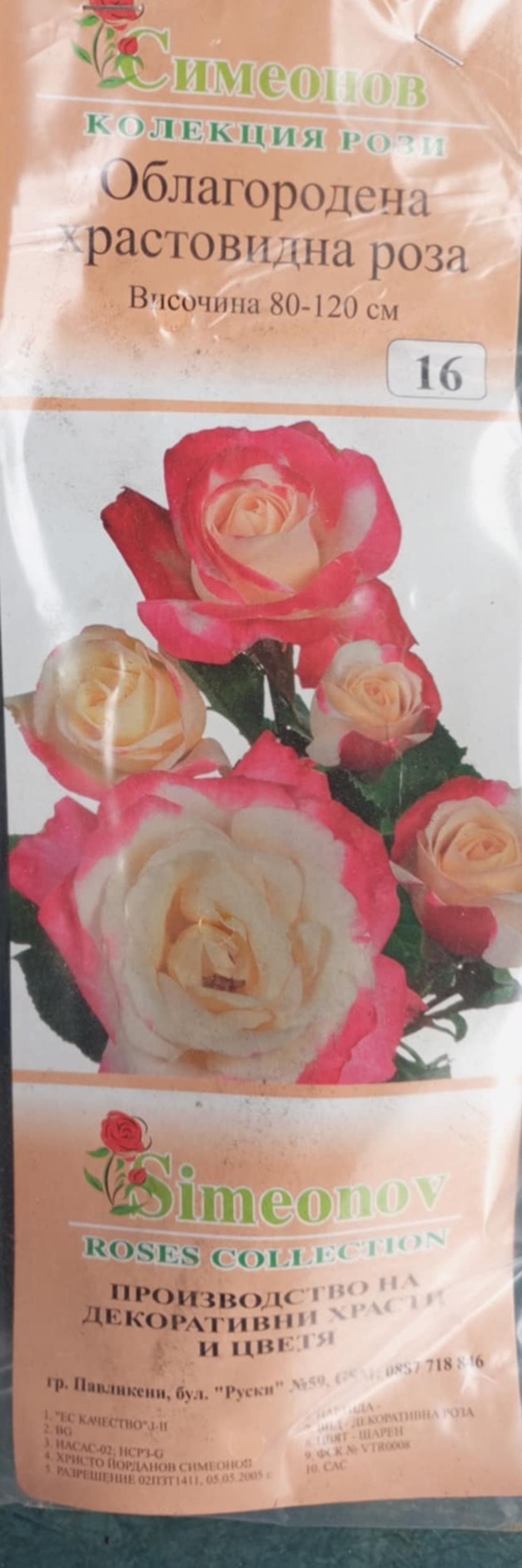 Храстовидна роза на гол корен