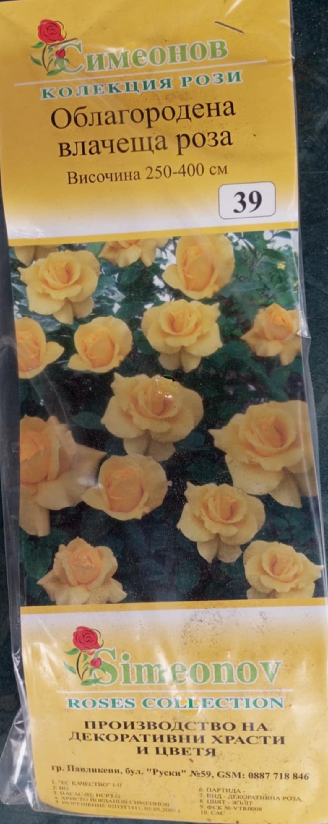 Увивна роза на гол корен