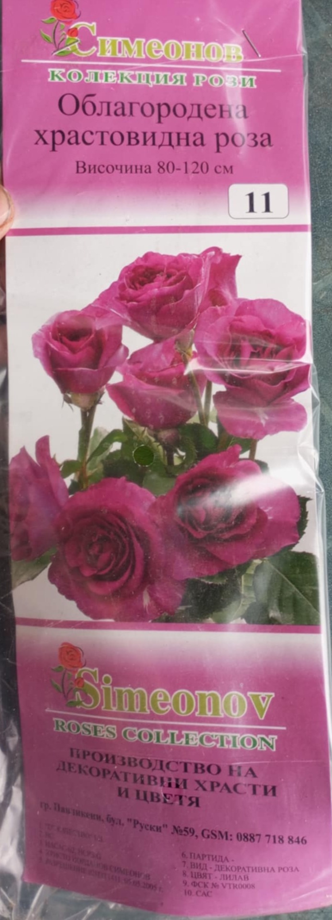 Храстовидна роза на гол корен