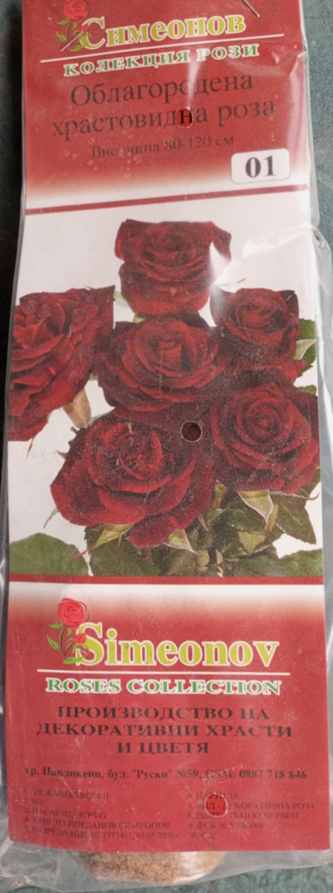 Храстовидна роза на гол корен