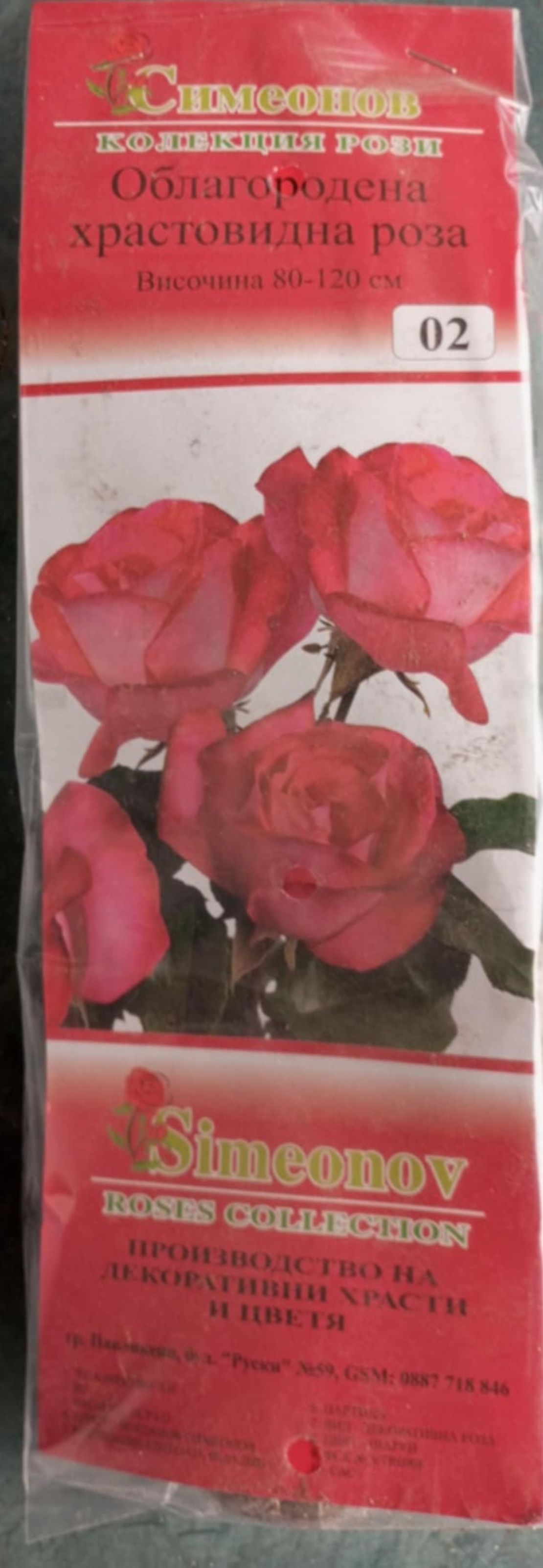 Храстовидна роза на гол корен