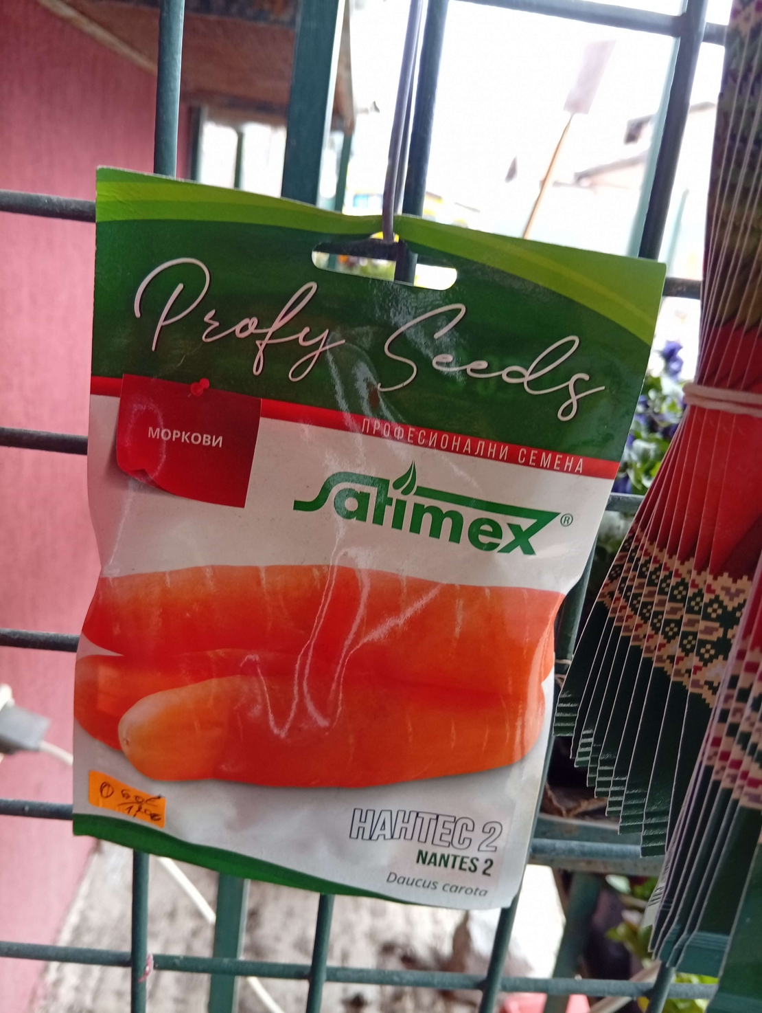 Семена Моркови