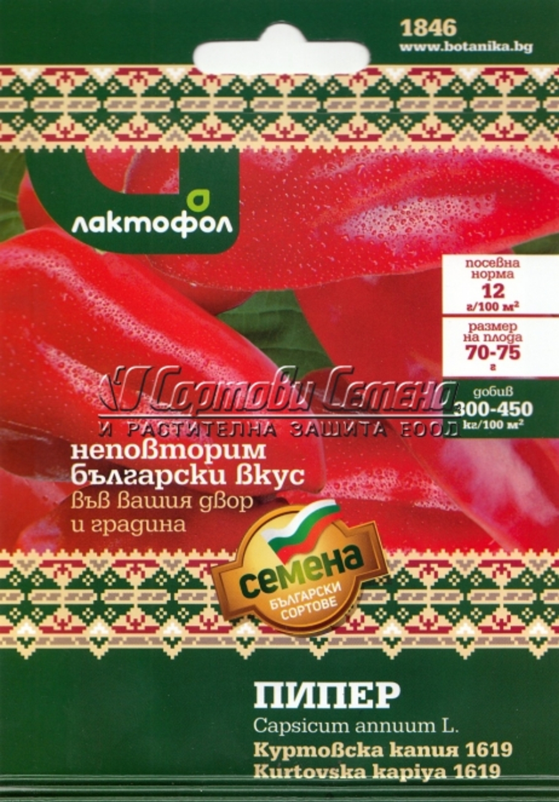 Пипер Куртовска капия