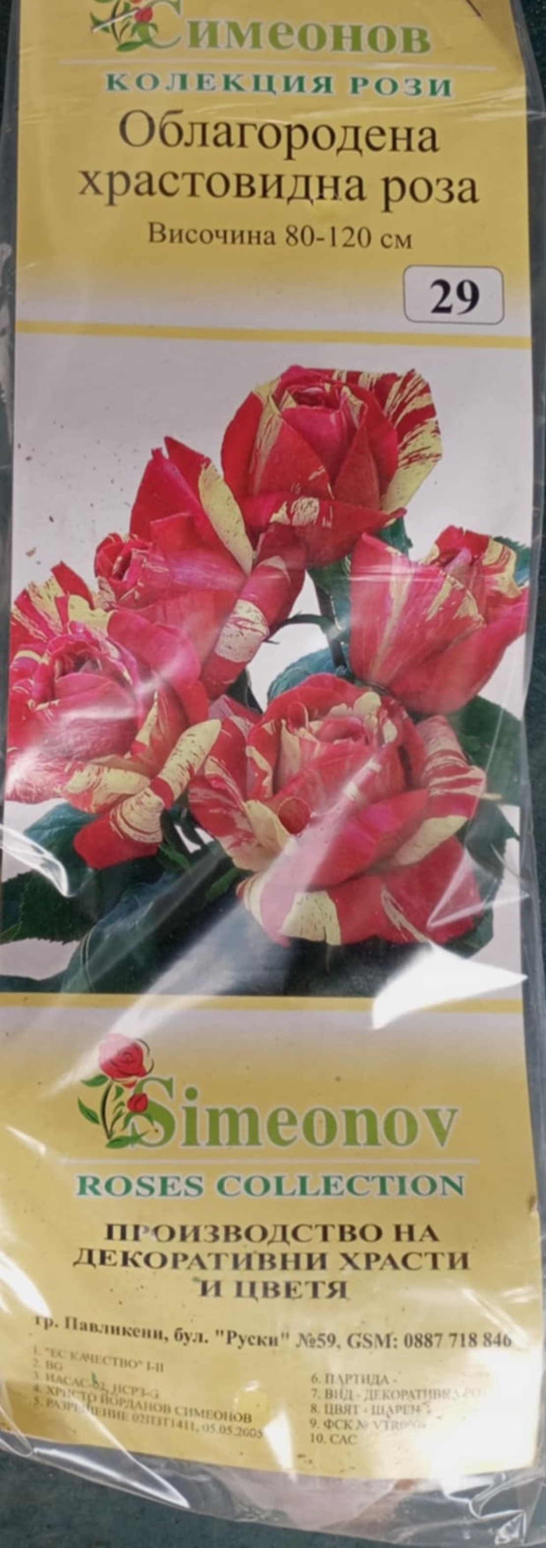 Храстовидна роза на гол корен