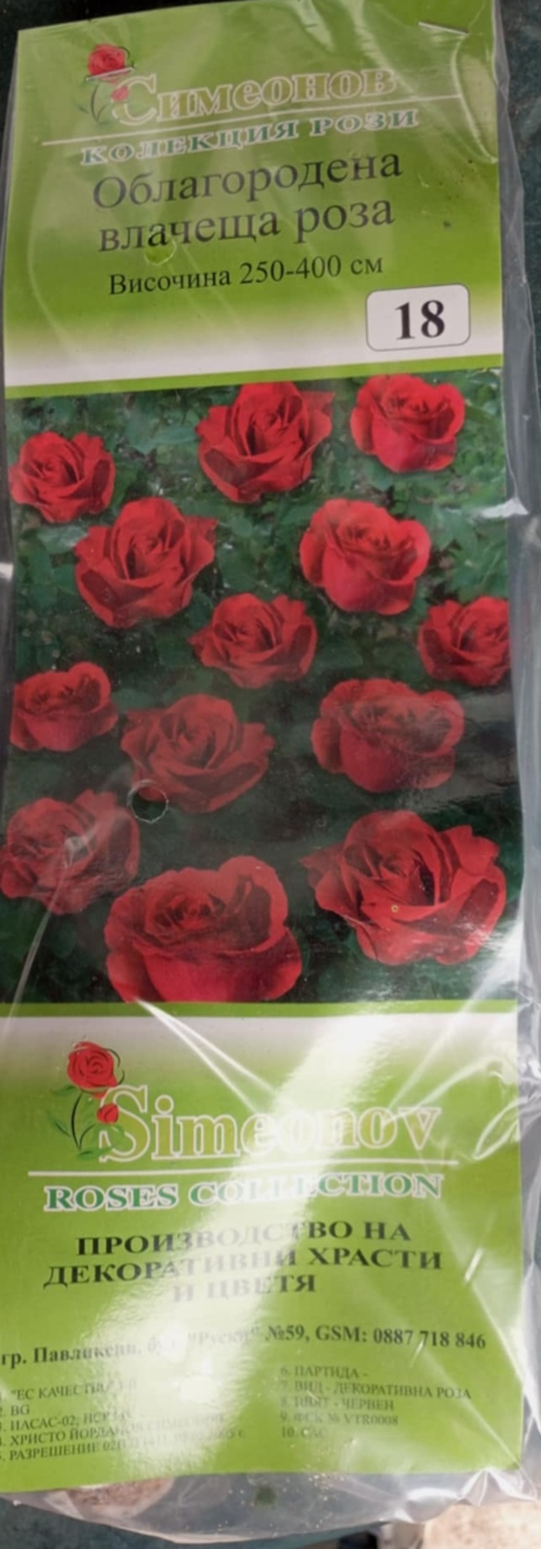 Увивна роза на гол корен