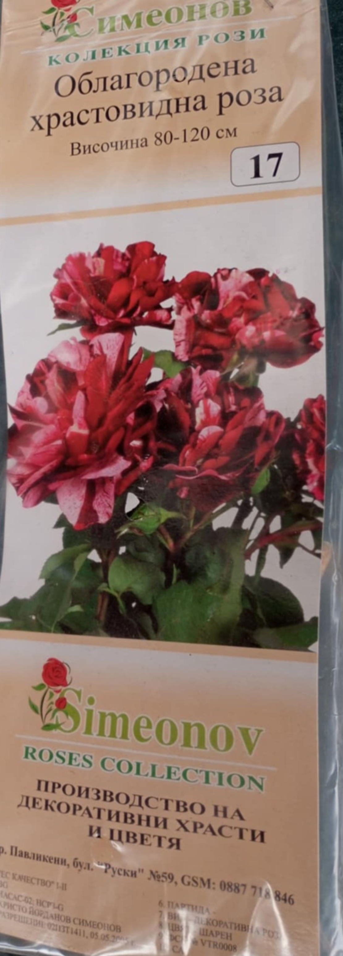 Храстовидна роза на гол корен