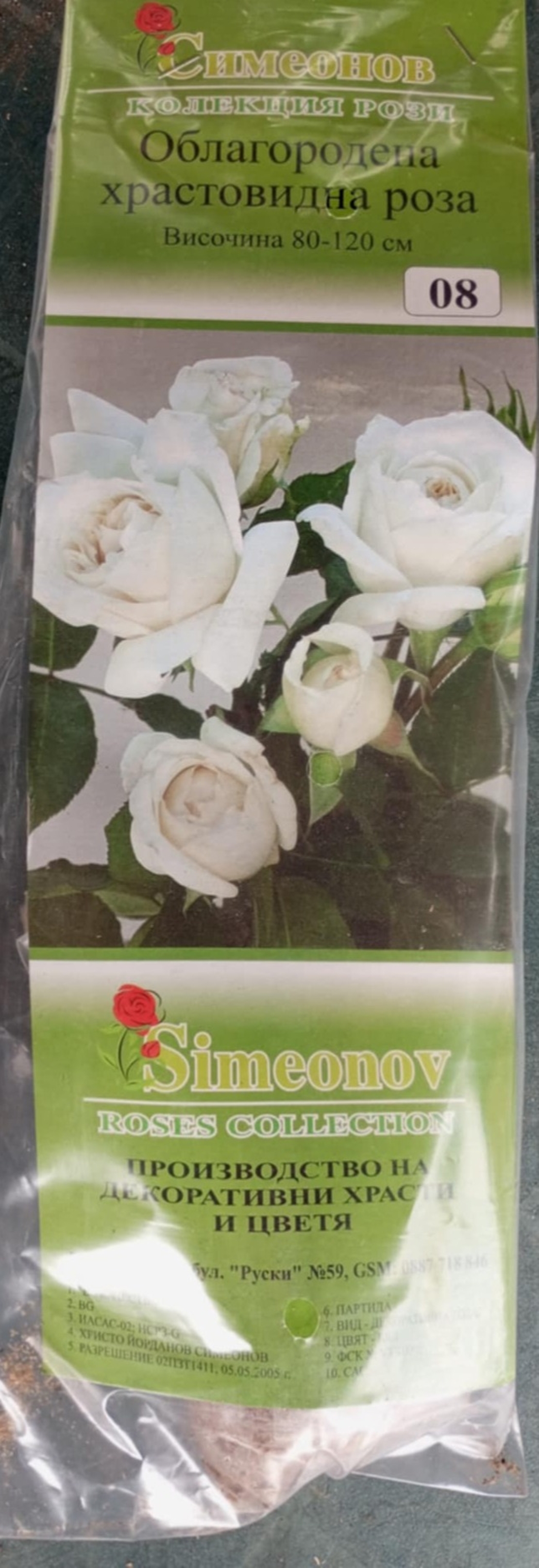 Храстовидна роза на гол корен