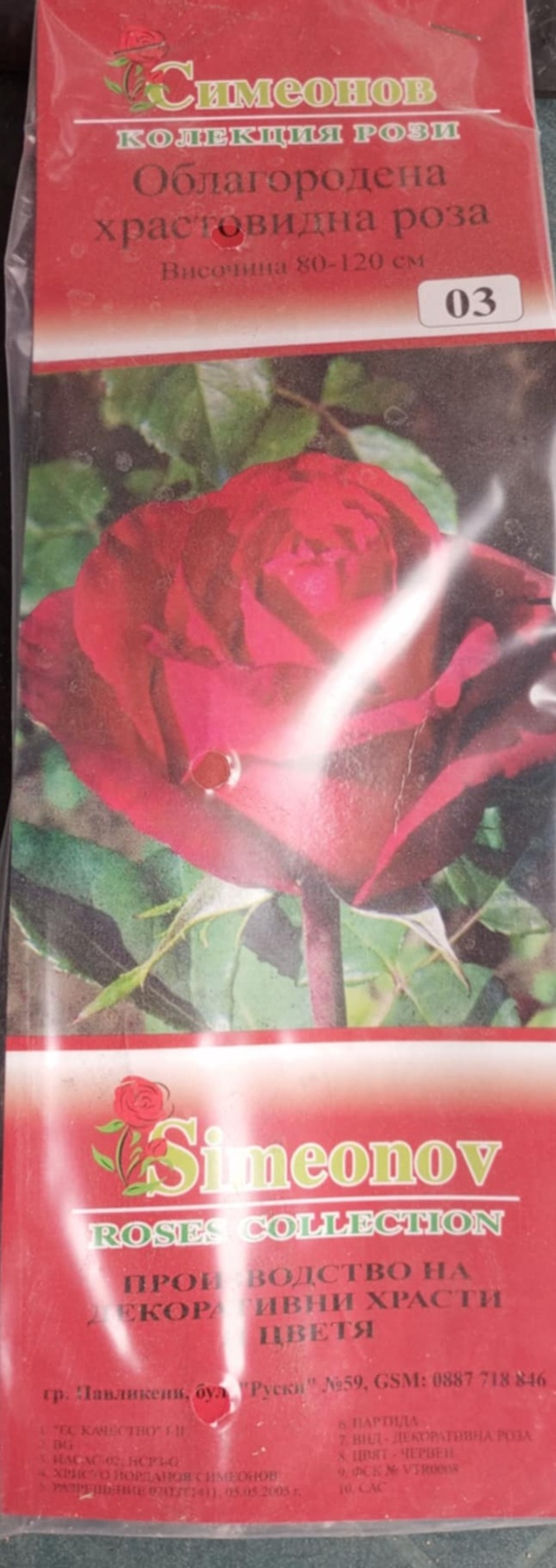 Храстовидна роза на гол корен