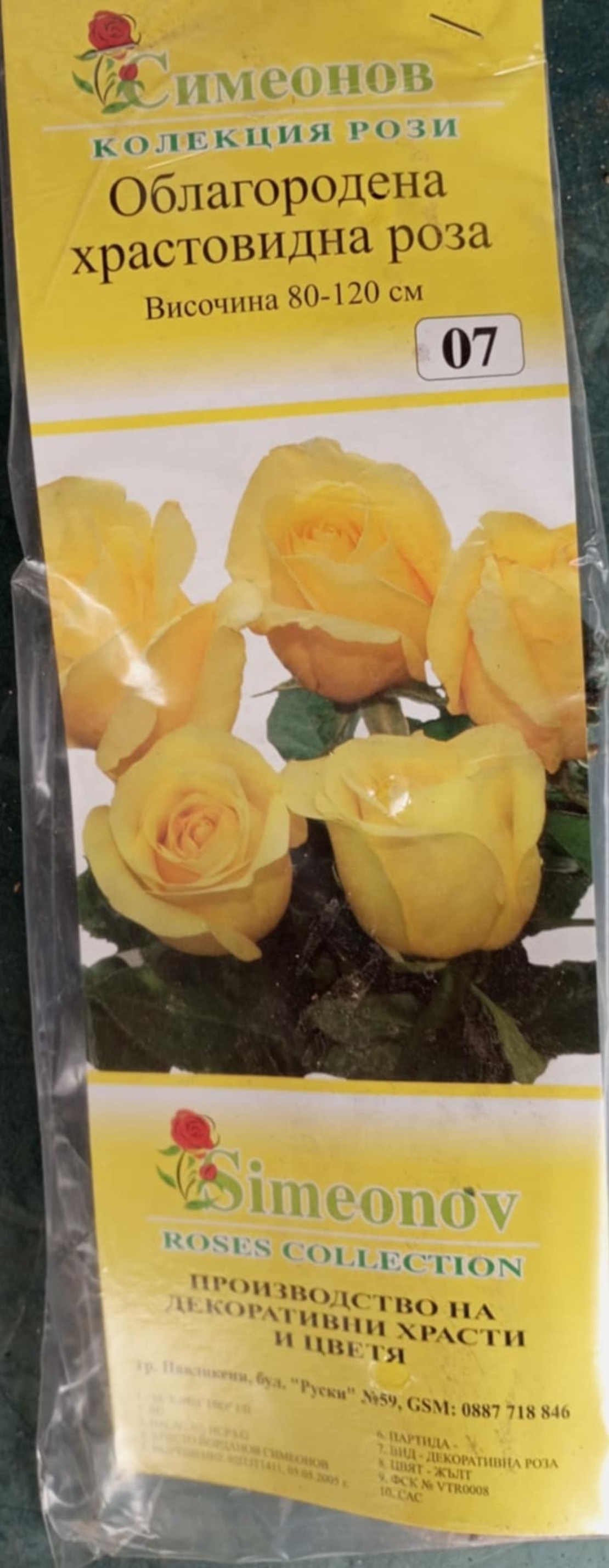 Храстовидна роза на гол корен