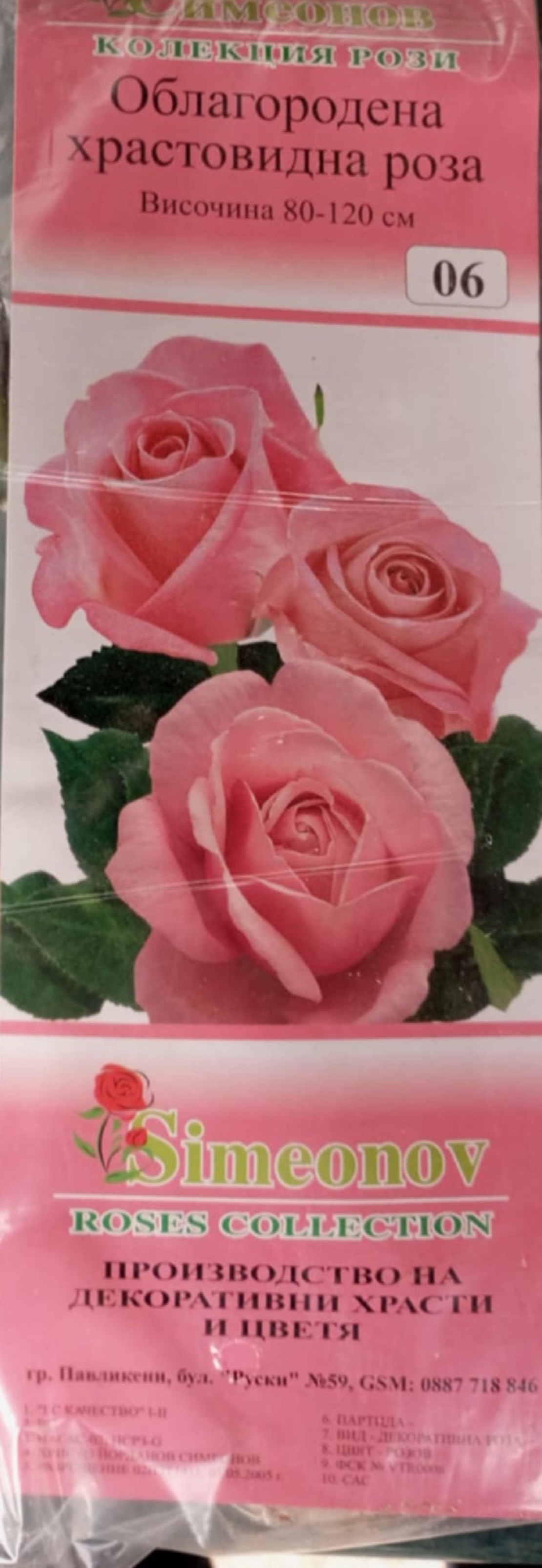 Храстовидна роза на гол корен