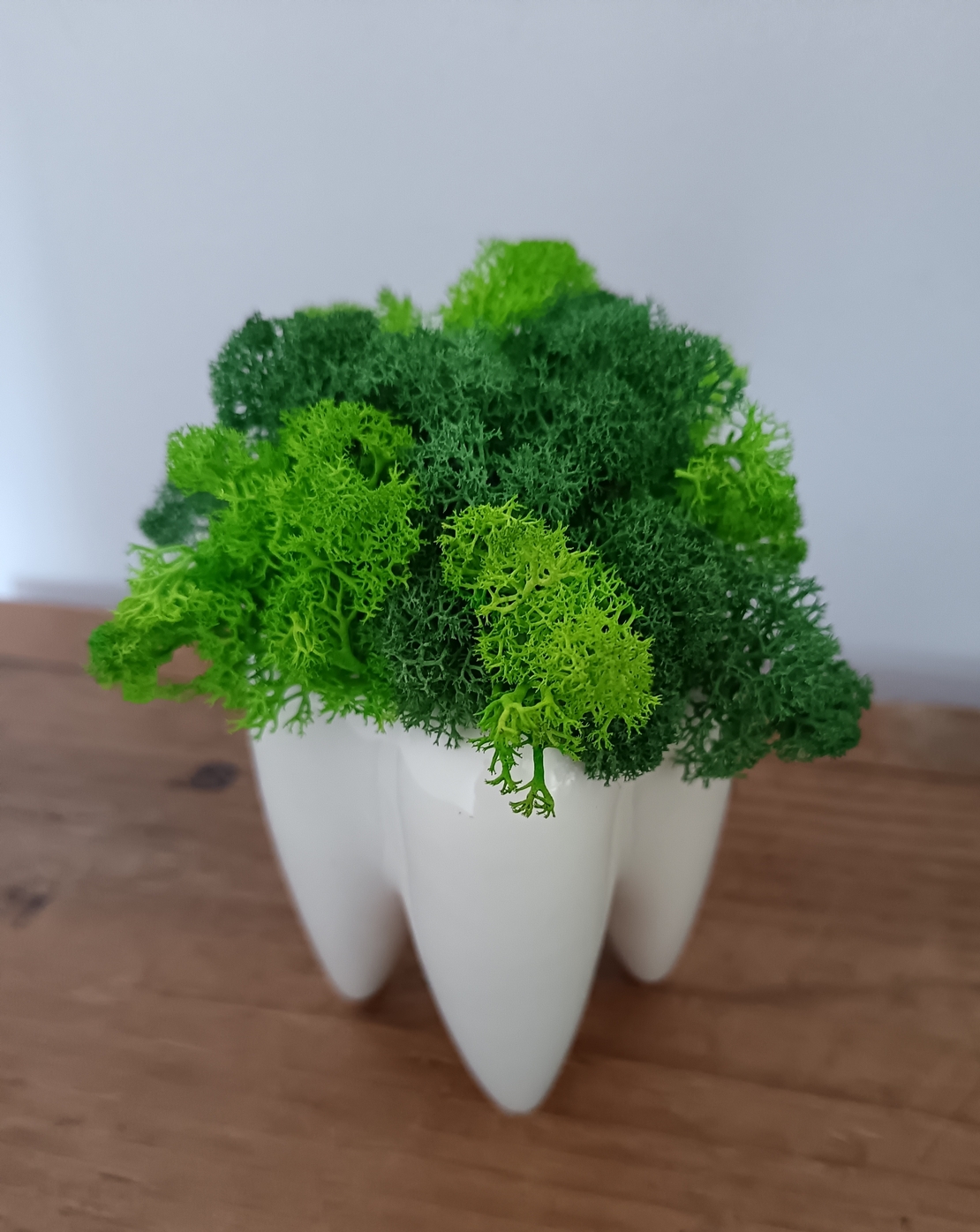 Кашпа зъбче със скандинавски мъх