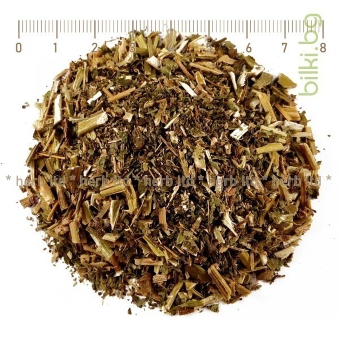 Бударица петниста стрък 30 гр