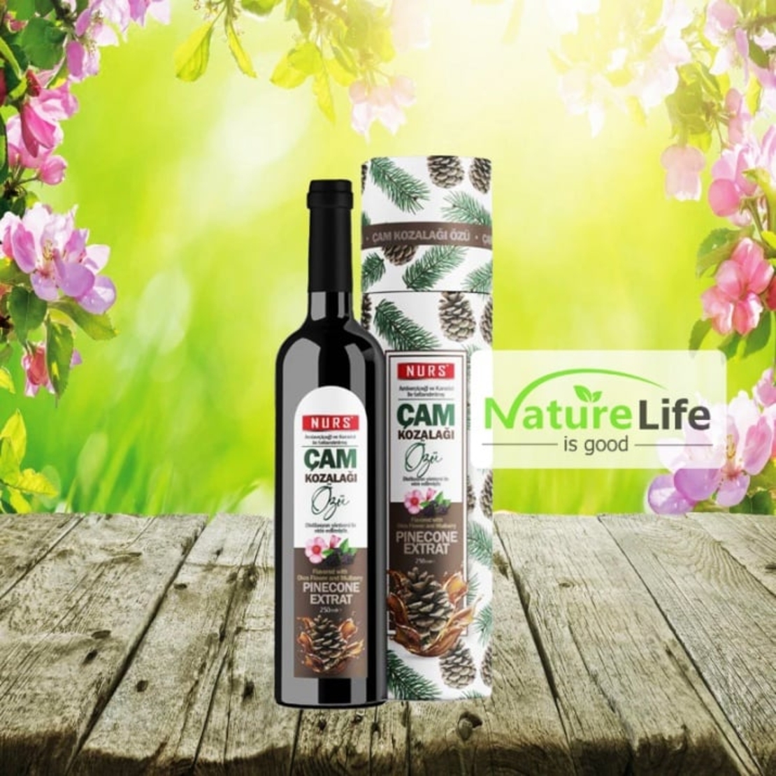 NURS Билков сироп с борови шишарки - 250мл.