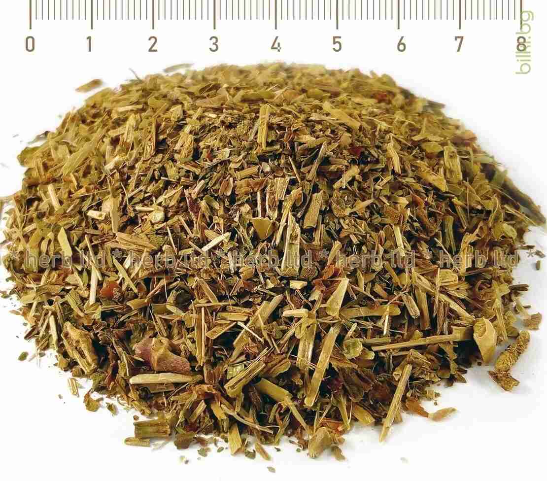 Лечебно сапуниче стрък - при бронхит и кашлица 40гр