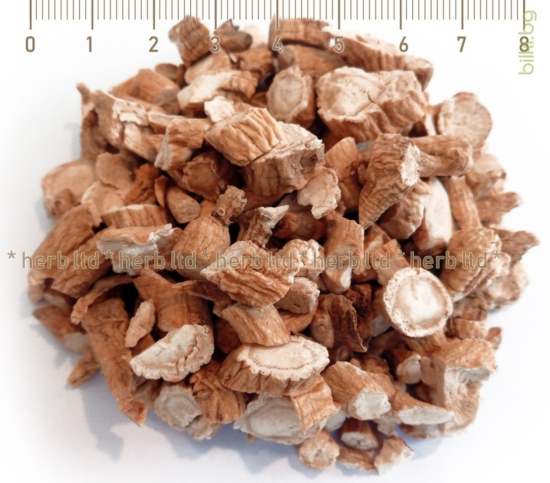 Женшен корен рязан - Бял, при умора и изтощение 5гр