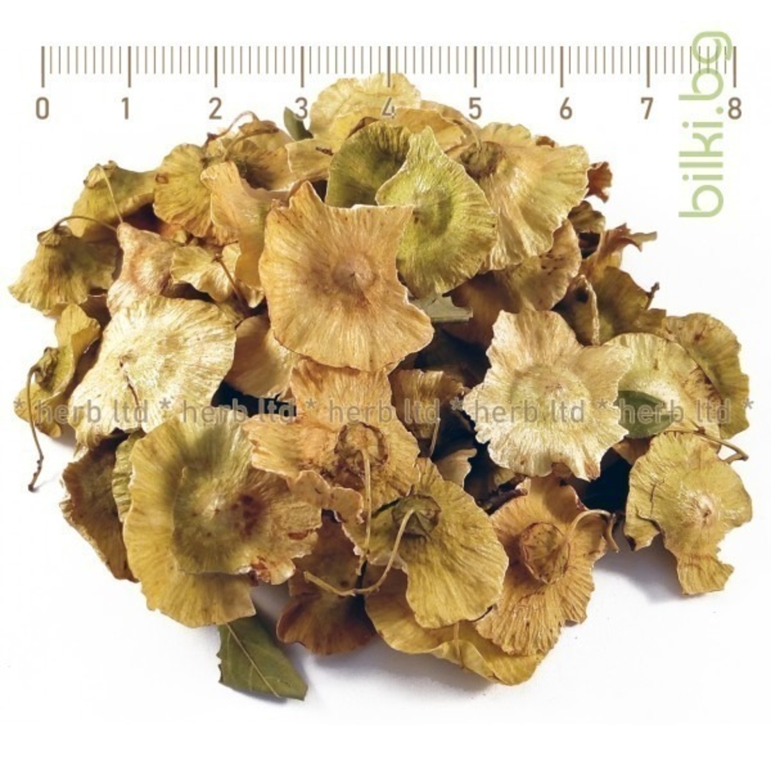 Драка плод – Паричка, при кашлица и бронхит, Paliurus spina-christi Mill. 30гр