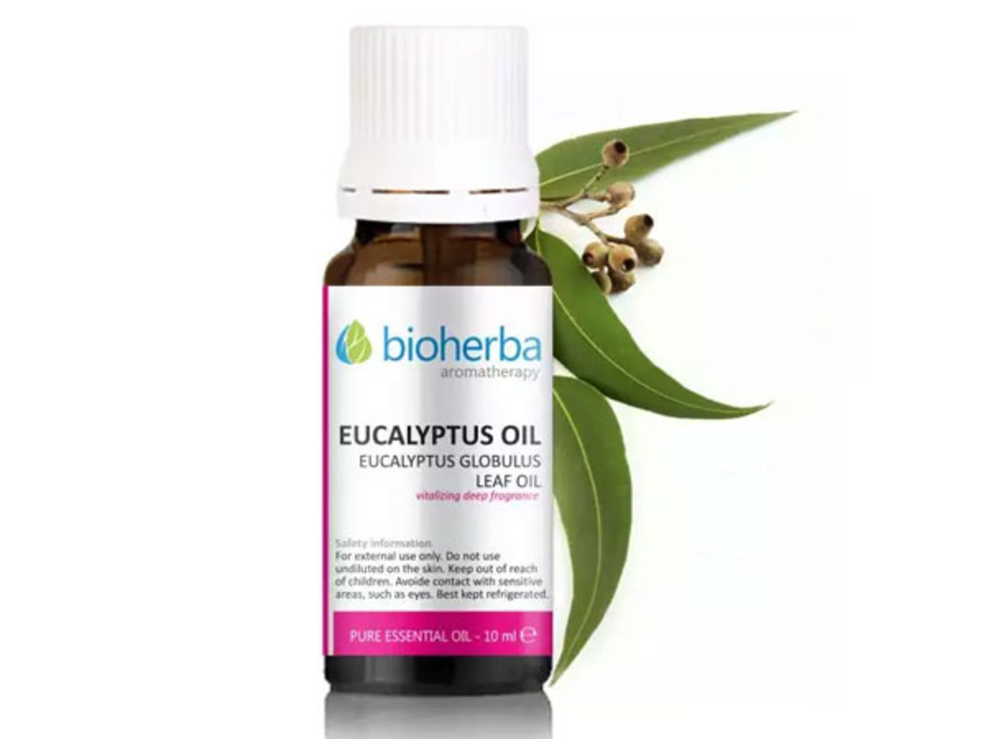 ЕВКАЛИПТОВО МАСЛО EUCALYPTUS OIL 10мл