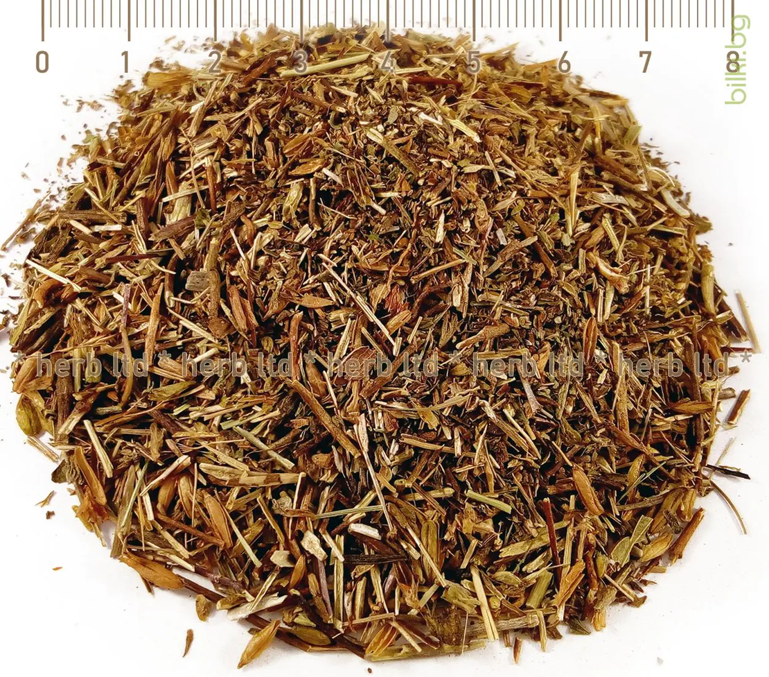 Очанка стрък - при конюктивит, глаукома, Euphrasia officinalis 50г