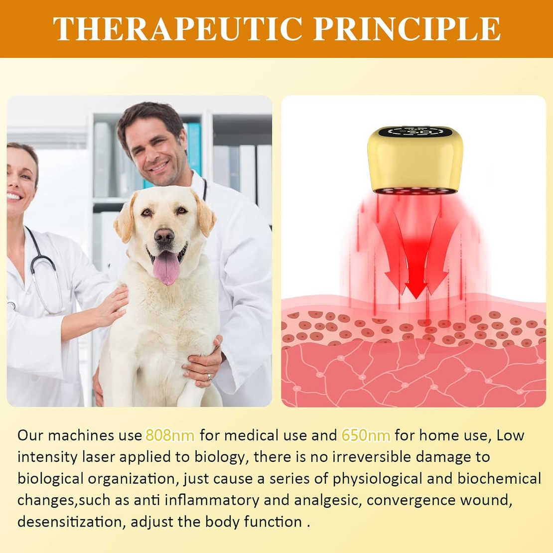 Pet red light therapy device