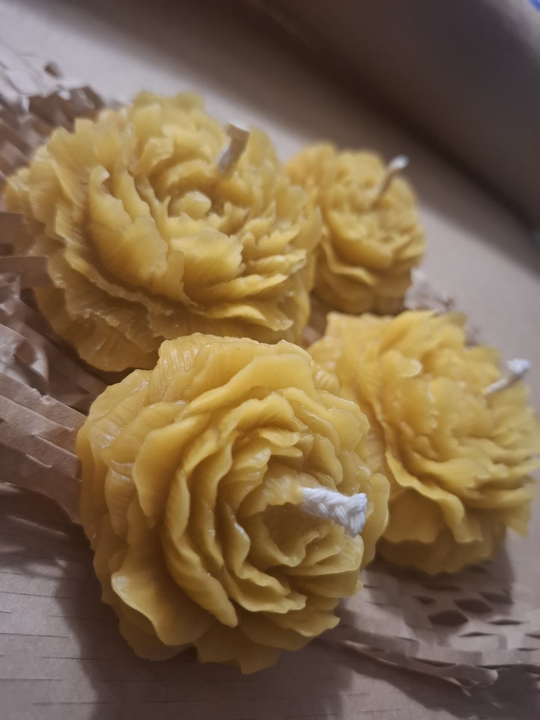 Ръчно изработена свещ от пчелен восък „Цъфнал Божур“ (в подаръчна кутия)