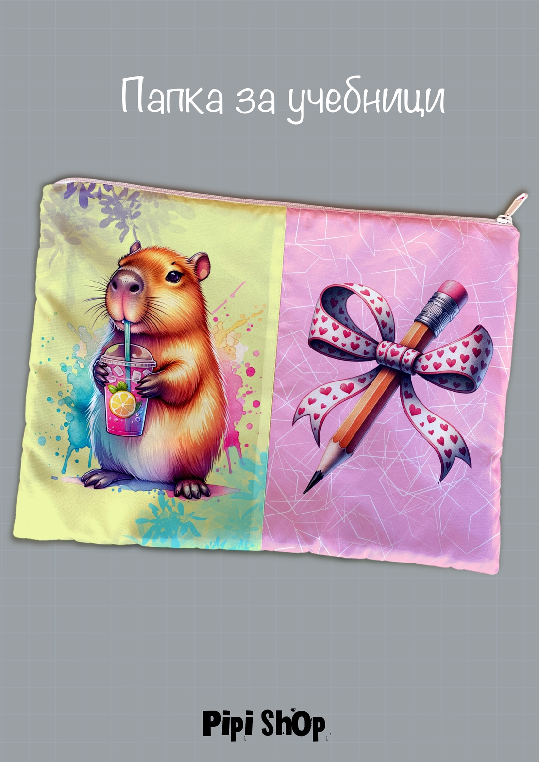 Папка за учебници/документи 