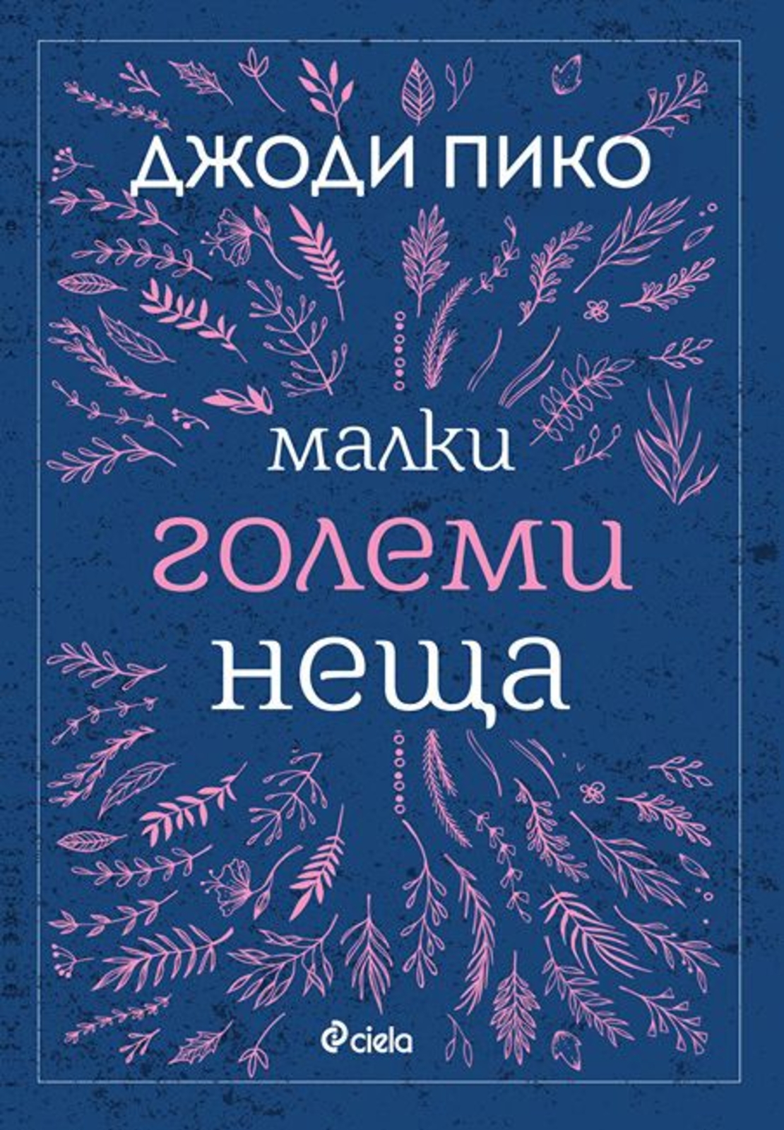 Малки големи неща - Джоди Пико