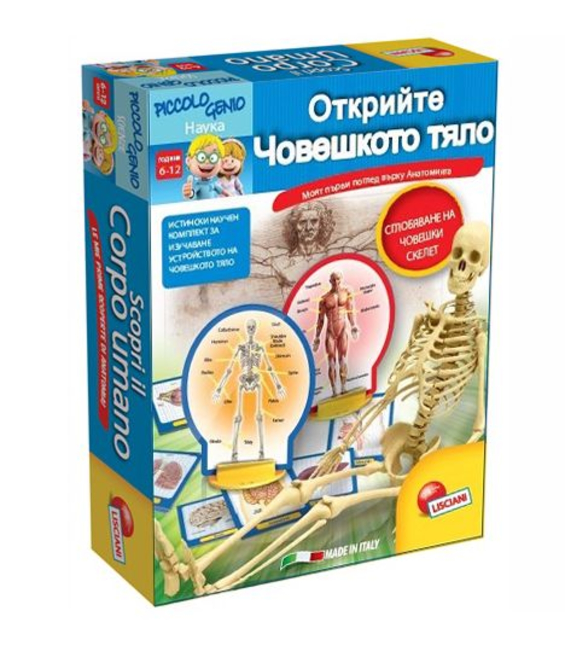 Малкият гений Lisciani Открийте човешкото тяло 68876