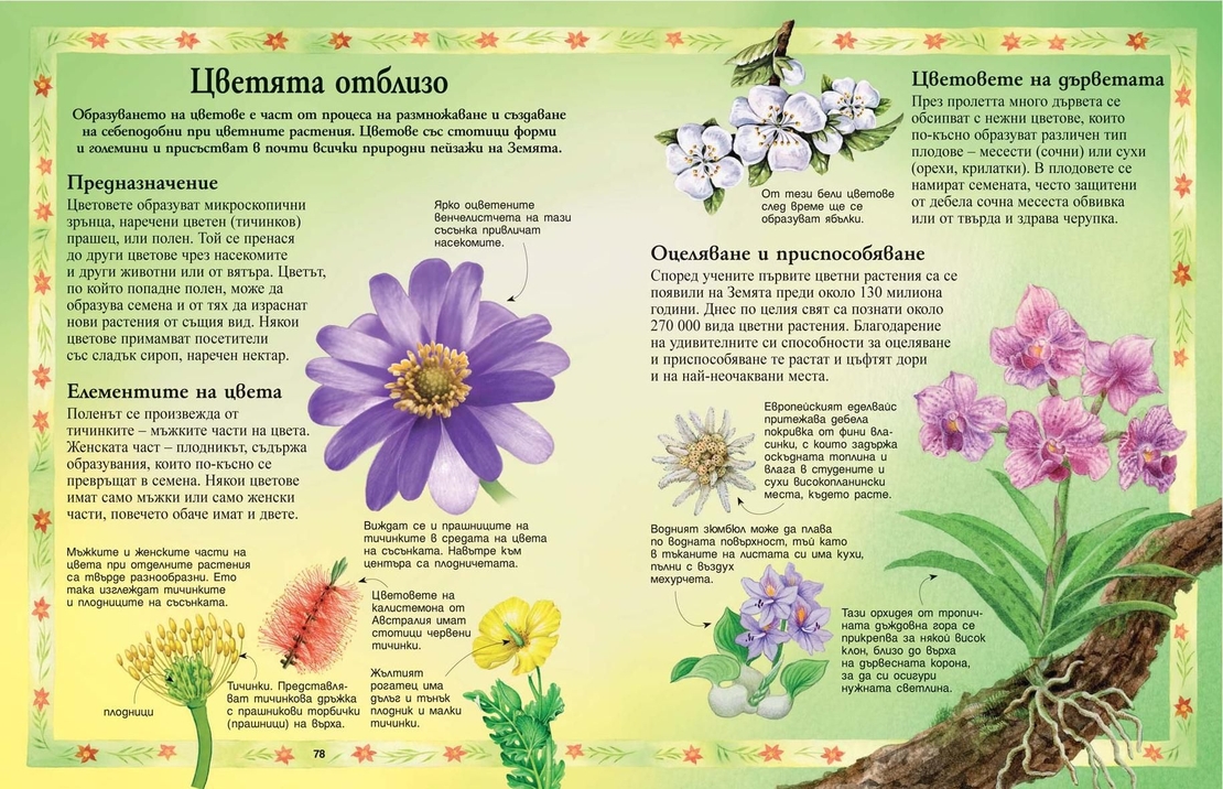 Енциклопедия за природата