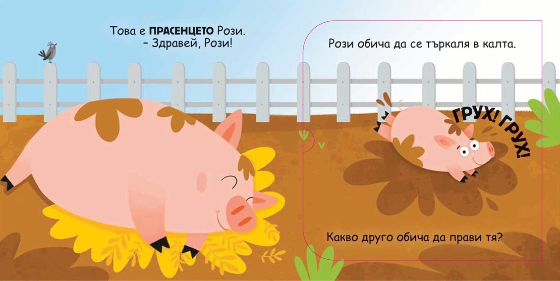Кой какво обича